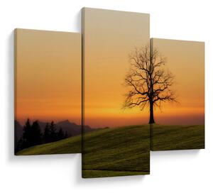 Slika zalaska sunca na livadi (90x60 cm)