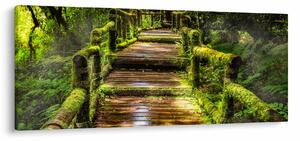 Slika stepenica u prašumi (120x50 cm)