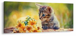 Slika mačića koji gleda cvijet (120x50 cm)