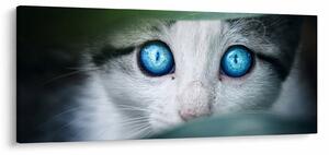 Slika mačke (120x50 cm)