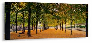 Slika aleje jesenskih stabala (120x50 cm)