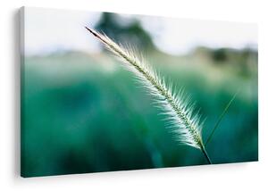 Slika vlati trave (90x60 cm)
