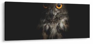 Slika sove (120x50 cm)