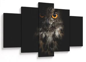Slika sove (150x105 cm)