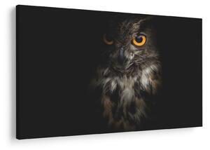 Slika sove (90x60 cm)