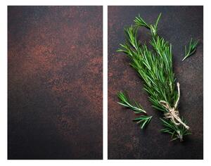 Poklopci za štednjake od kaljenog stakla u setu od 2 kom 52x30 cm Rosemary - Allstar