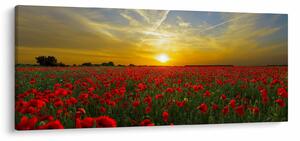 Slika polja maka (120x50 cm)