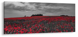 Slika makova (120x50 cm)