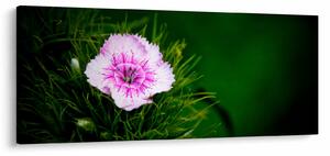 Slika ružičastog cvijeta (120x50 cm)