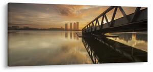 Slika mola (120x50 cm)