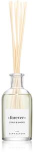 Ambientair The Olphactory Citrus & Shades aroma difuzer Forever 100 ml
