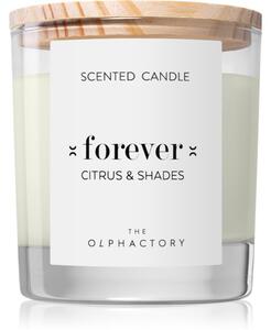 Ambientair The Olphactory Citrus & Shades mirisna svijeća Forever 200 g