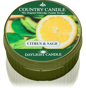 Country Candle Citrus & Sage čajna svijeća 42 g