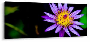Slika cvijeta (120x50 cm)