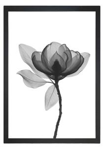 Poster Tablo Center Harmony Flower, 24 x 29 cm