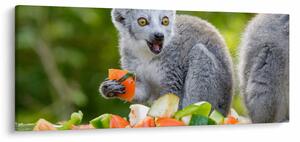 Slika lemura (120x50 cm)