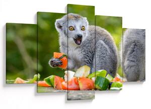 Slika lemura (150x105 cm)