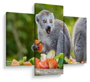 Slika lemura (90x60 cm)