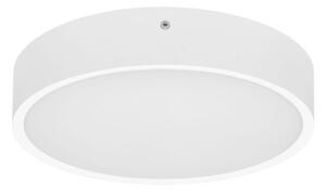 Ecolite WMAT300-15W/BI - LED Stropna svjetiljka MARTIN LED/15W/230V IP65 bijela