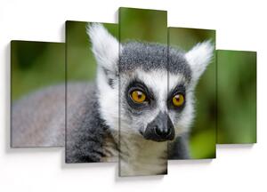 Slika lemura (150x105 cm)