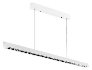 LED Luster na sajli LED/36W/230V 3000/4000/6400K bijela