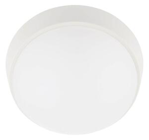 LED Vanjska stropna svjetiljka LED/12W/230V IP65 bijela