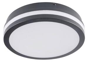 Brilagi - LED Vanjska svjetiljka BENE LED/18W/230V pr. 22 cm IP54