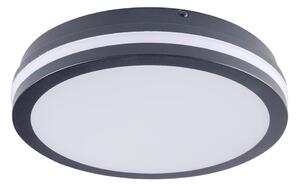 Brilagi - LED Vanjska svjetiljka BENE LED/24W/230V pr. 26 cm IP54