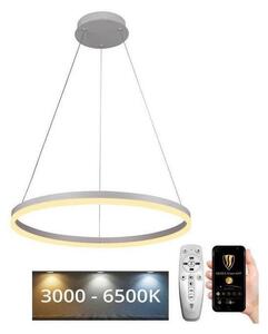 Brilagi - LED Prigušivi luster na sajli CIRCLE LED/42W/230V 3000-6500K + DU