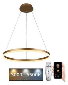 Brilagi - LED Prigušivi luster na sajli CIRCLE LED/42W/230V 3000-6500K + DU