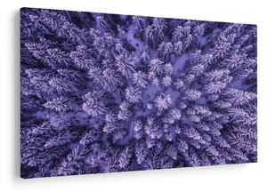Slika snježnih stabala (90x60 cm)