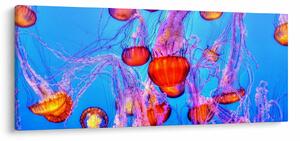 Slika meduza u moru (120x50 cm)