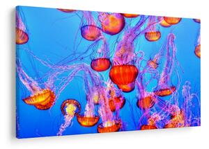 Slika meduza u moru (90x60 cm)