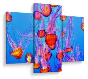 Slika meduza u moru (90x60 cm)