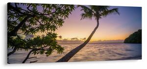 Slika palme na plaži (120x50 cm)