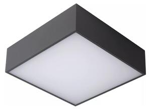 Lucide 27816/10/29 - LED Stropna svjetiljka za kupaonicu ROXANE LED/12W/230V IP54