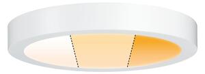 Paulmann 79799 - LED/19W Stropna svjetiljka CARPO 230V 2300/2500/3000K