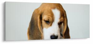 Slika Bigla (120x50 cm)