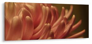Slika detalja cvijeta (120x50 cm)