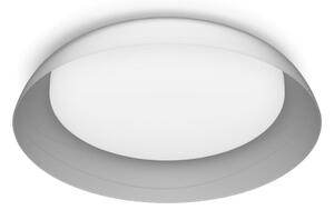 Philips - LED Prigušiva stropna svjetiljka FLETA LED/10W/230V 4000K prozirna