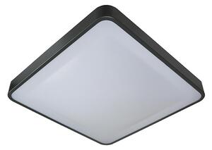 LED Stropna svjetiljka WILTON LED/24W/230V antracit