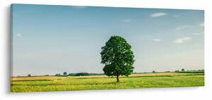 Slika drveta na livadi (120x50 cm)