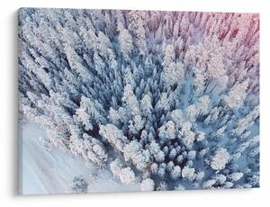 Slika snježnih stabala (70x50 cm)