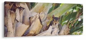 Slika vjeverice na drvetu (120x50 cm)