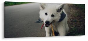 Slika bijelog psa (120x50 cm)