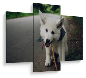 Slika bijelog psa (90x60 cm)