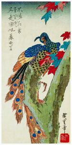 Reprodukcija umjetnosti Peacock Perched on a Maple Tree (Japan) - Utagawa Hiroshige, (20 x 40 cm)