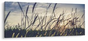 Slika livadskog cvijeća (120x50 cm)