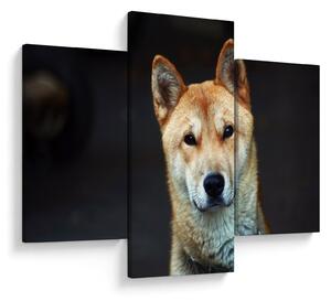 Slika psa (90x60 cm)