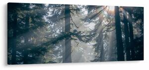 Slika drveća sa sunčevim zracima (120x50 cm)